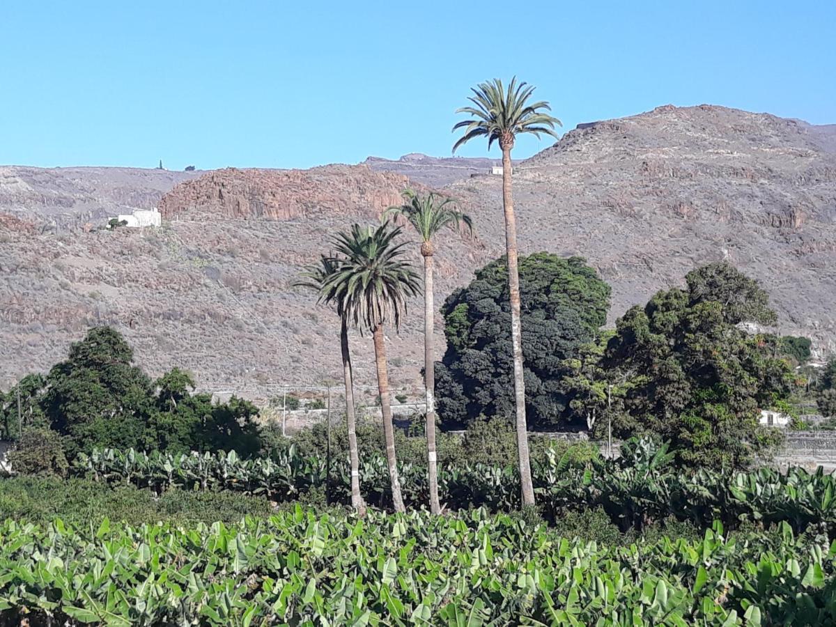 Los Olivos Playa de Santiago  Exterior photo