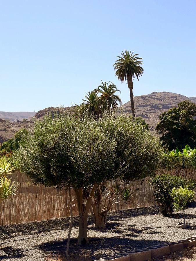 Los Olivos Playa de Santiago  Exterior photo